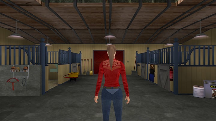 Let's Ride: Silver Buckle Stables mod Widescreen & FOV Fix v.1.0