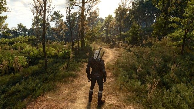 Wiedmin 3: Dziki Gon mod Immersive HUD iHUD v.0.1