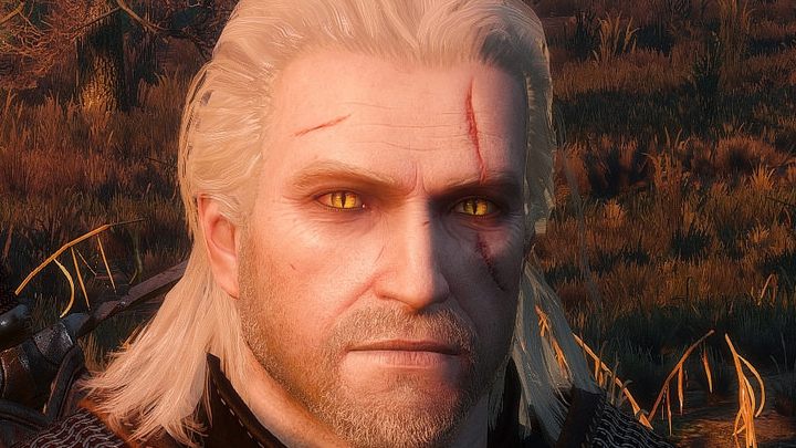 Geralt's mutated eyes. 