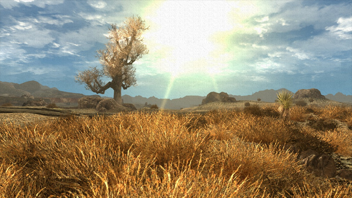 Fallout: New Vegas - Krwawa Forsa mod Enhanced Grass v.1.0
