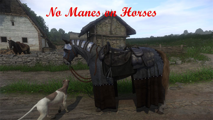 Kingdom Come: Deliverance mod No Manes on Horses v.1.0