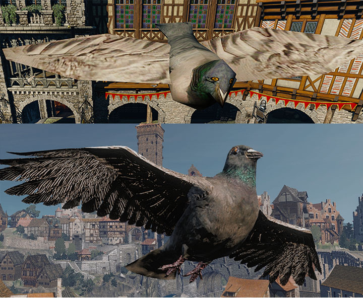 Porównanie ptaków na przykładzie gołębia – u góry standardowa wersja gry, u dołu z modem. - 2018-08-19