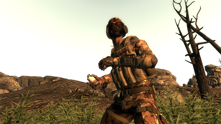 fallout 3 simple realism