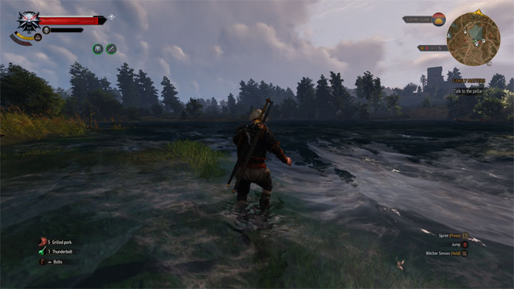 Wiedźmin 3: Dziki Gon mod Enable Jumping in Shallow Water for Next-Gen  v.1.0