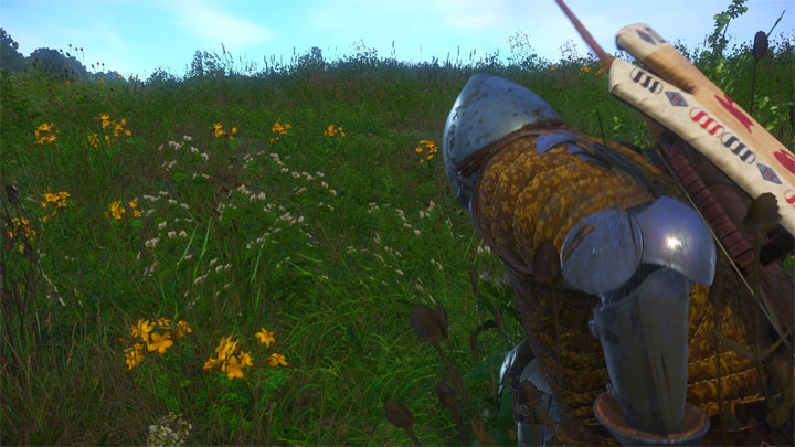 Kingdom Come: Deliverance mod Increased Herb Gathering Radius v.1.3