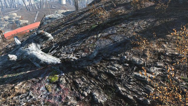 Fallout 4 mod Vivid Fallout - Landscapes v.1.4