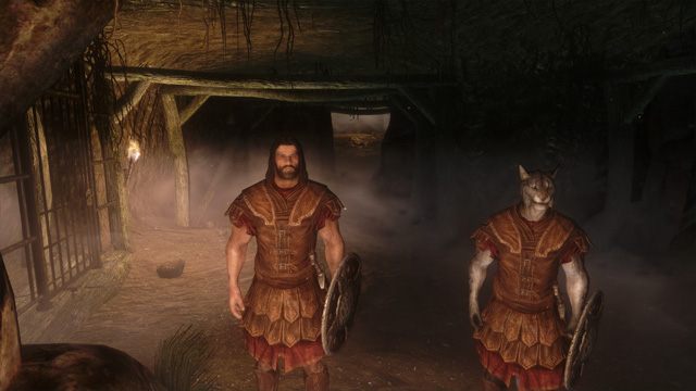 The Elder Scrolls V: Skyrim mod Tamriel Online - Skyrim Multiplayer 2.4.1
