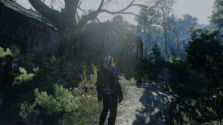 Wiedźmin 3: Dziki Gon mod Natural And Detailed Witcher 3 _ An ENB-like ReShade v.1.0