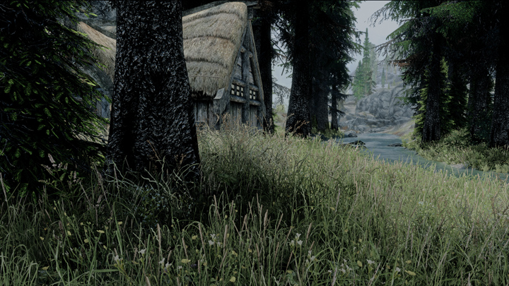 The Elder Scrolls V: Skyrim mod Like Never Before - Immersive And Detailed Skyrim v.1.0