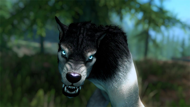 The Elder Scrolls V: Skyrim Special Edition mod Moonlight Tales Special Edition - Werewolf and Werebear Overhaul v.3.5