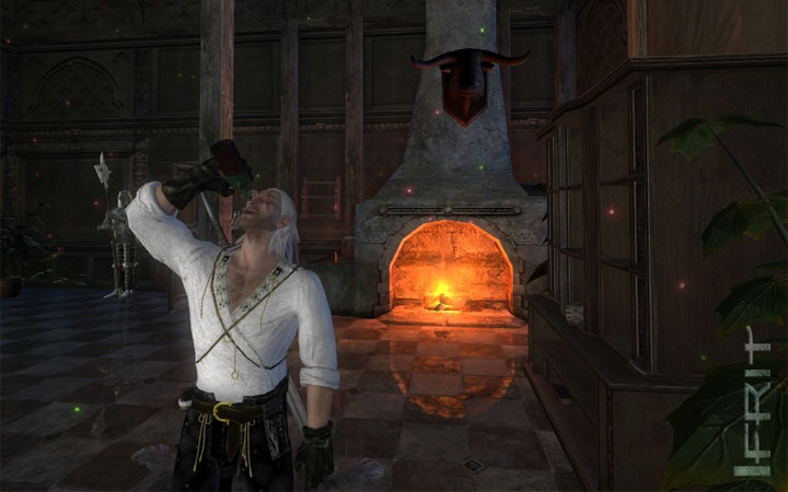mount and blade witcher mod mount and blade witcher mod