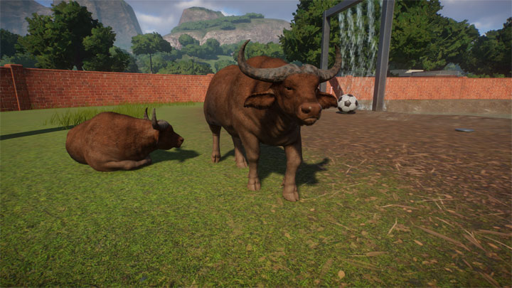 Planet Zoo mod African Forest Buffalo v.14122019