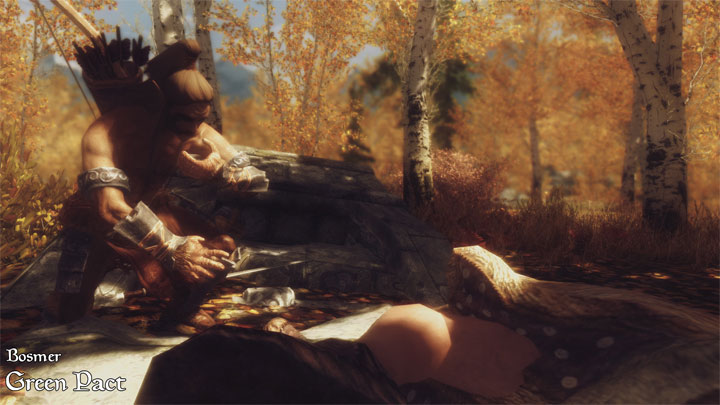 elder scrolls skyrim races elder scrolls skyrim races
