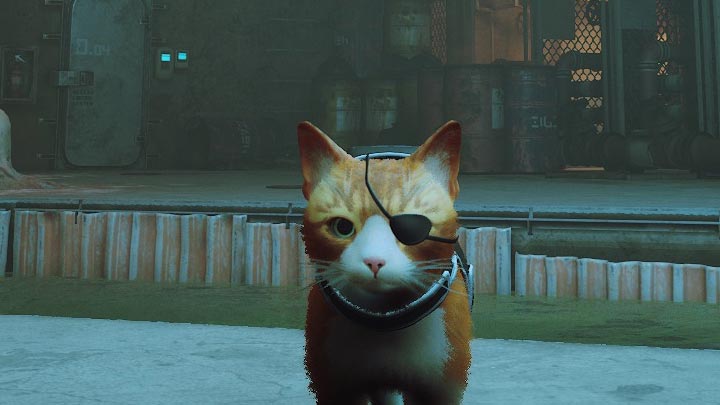 Stray mod Eyepatch (compatible with all color mod cats) v.1.0