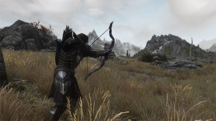 The Elder Scrolls V Skyrim Special Edition Game Mod Wildcat