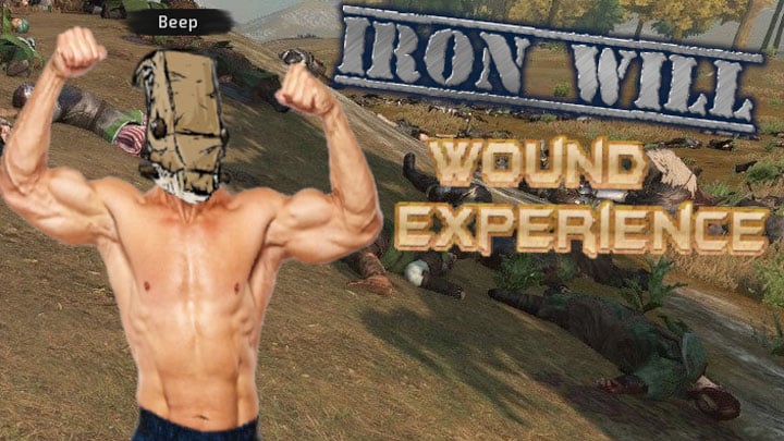 Mount & Blade II: Bannerlord mod Iron Will - Wound Experience v.1.2.0