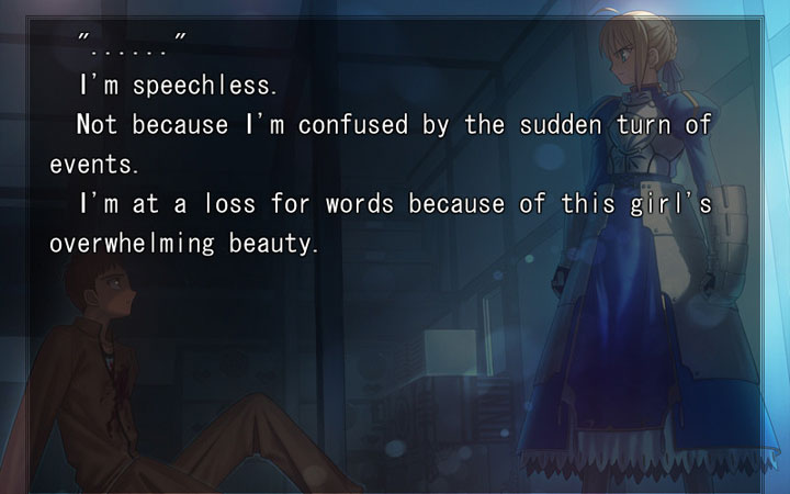 fate stay night visual novel english download pc