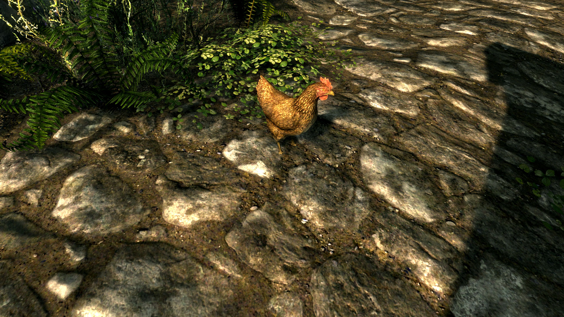 The elder scrolls v skyrim anniversary edition game mod address 