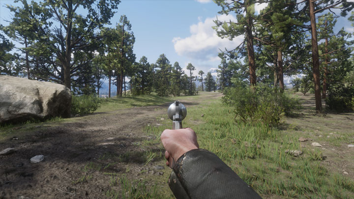 Red Dead Redemption 2 mod First Person Aim v.1.3