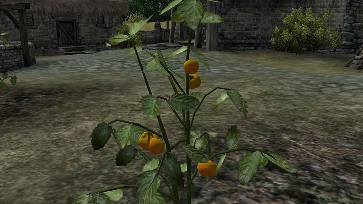 The Elder Scrolls IV: Oblivion mod Harvested Plants Be Gone v.1