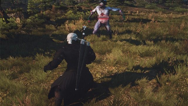 Download the nackt witcher 3 mod The Best