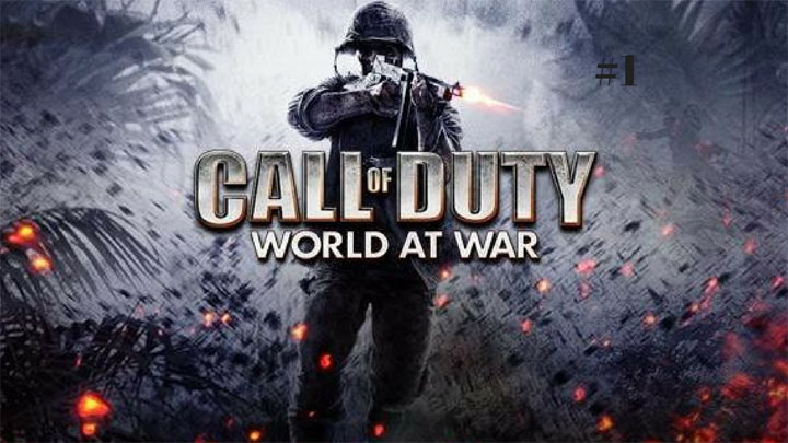 Call of Duty: World at War mod Call of Duty: World at War PunkBuster Kick Fix