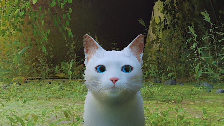 Stray mod White Cat Blue eyes v.1.0