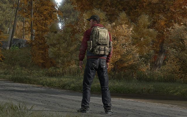 DayZ zmierza w dobrym kierunku - twórcy znają tydzień, w którym ruszy alfa. - DayZ ma ustaloną datę startu wersji alfa. Poznaliśmy dużo nowych ciekawostek - wiadomość - 2013-06-25