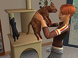 The Sims 2 Zwierzaki już oficjalnie - ilustracja #1