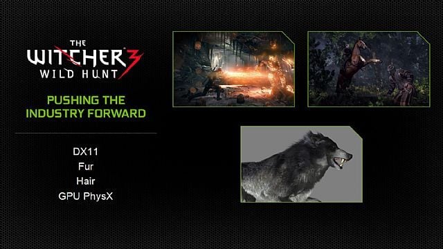 Grafika w Wiedźminie 3 wykorzysta dobrodziejstwa Nvidii - Wiedźmin 3, Batman: Arkham Origins, AC IV, SC: Blacklist i Watch Dogs będą wspierać nowe technologie firmy Nvidia - wiadomość - 2013-06-12