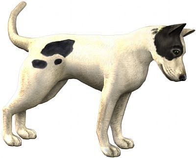 EA zapowiada The Sims 2: Osiedlowe życie oraz Apartment Pets - ilustracja #5