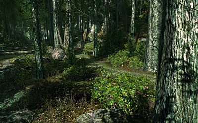 Crytek rozpoczyna sprzedaż licencji na CryENGINE 3 - ilustracja #1