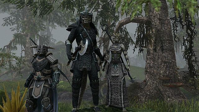 Tryb PvP w The Elder Scrolls Online zapowiada się naprawdę ciekawie. - The Elder Scrolls Online – twórcy ujawniają szczegóły dotyczące trybu PvP - wiadomość - 2013-04-23