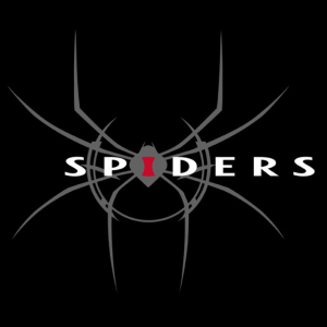 Spiders