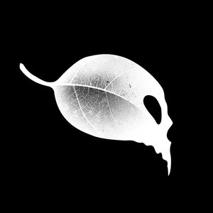 Fallen Leaf