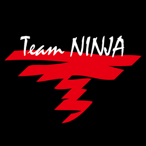 Team Ninja