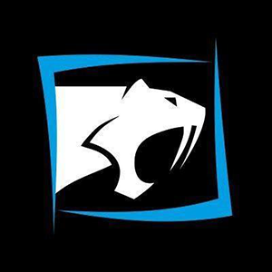 Saber Interactive
