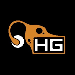 Hopoo Games