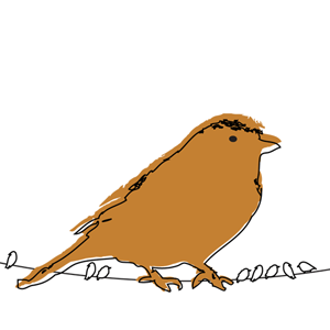 Giant Sparrow