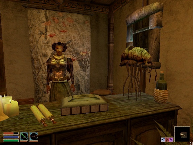 Sklepikarka, czyli jedna z setek postaci niezależnych w grze The Elder Scrolls III: Morrowind (2002). - 2012-12-17