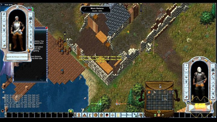 Zjawisko griefingu zyskało swoją nazwę w epoce takich gier jak Ultima Online. - 2022-11-17