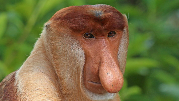 gry za darmo (promocje) - ostatnie wiadomości