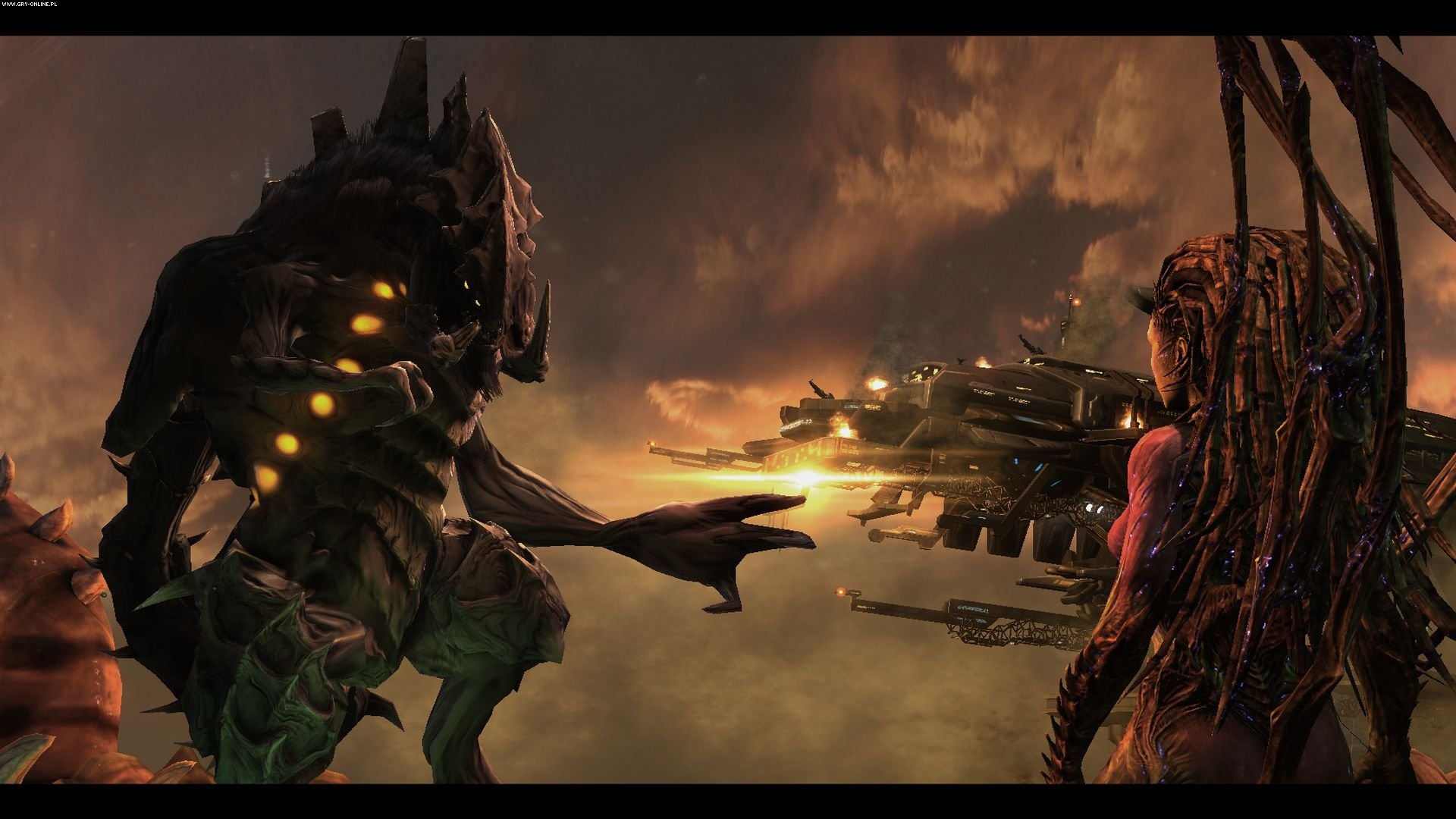 Starcraft Heart Of The Swarm Купить
