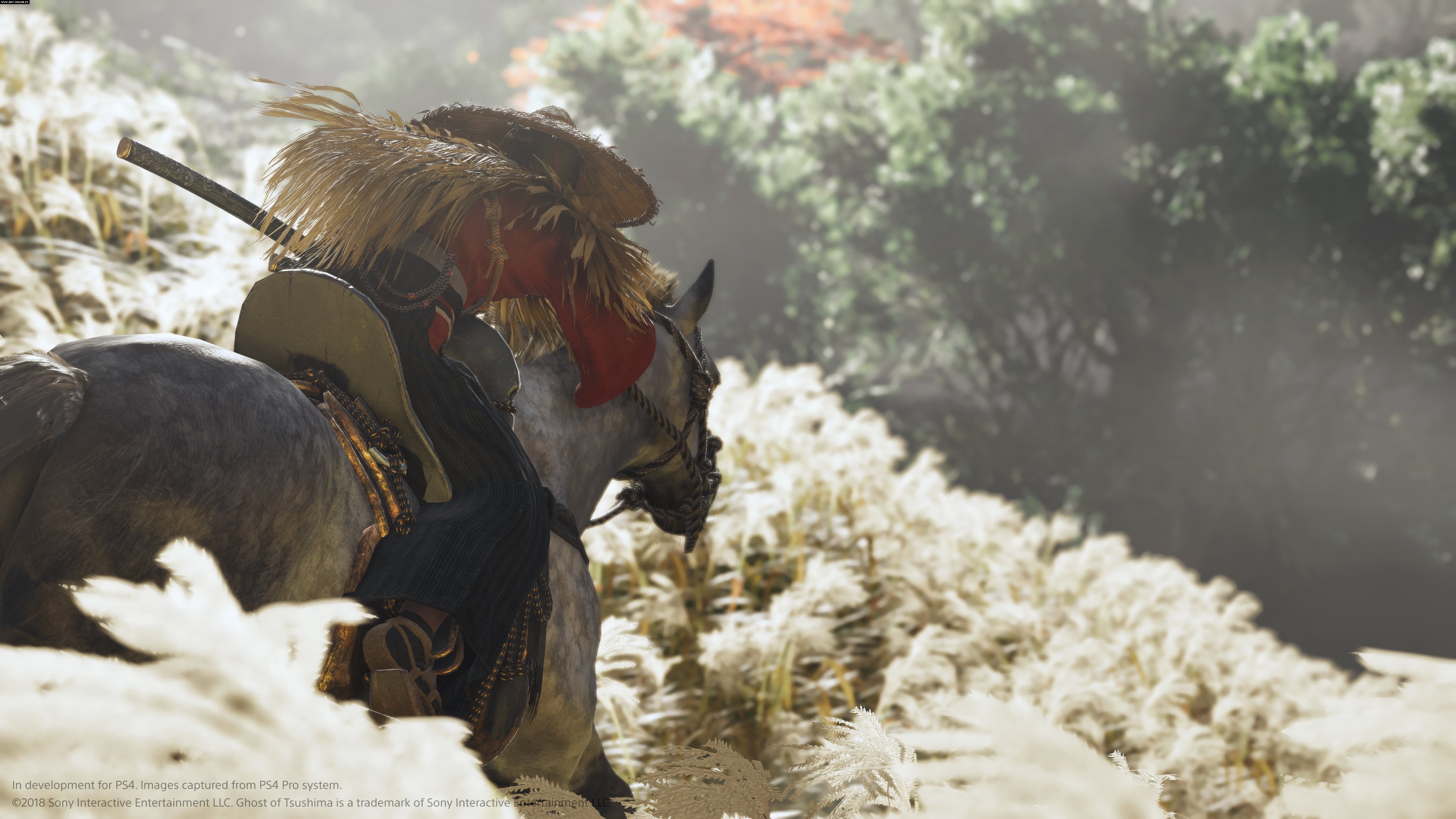 Ghost Of Tsushima Galeria Screenshot w Screenshot 23 35 GRYOnline pl ghost-of-tsushima-galeria-screenshot-w-screenshot-23-35-gryonline-pl