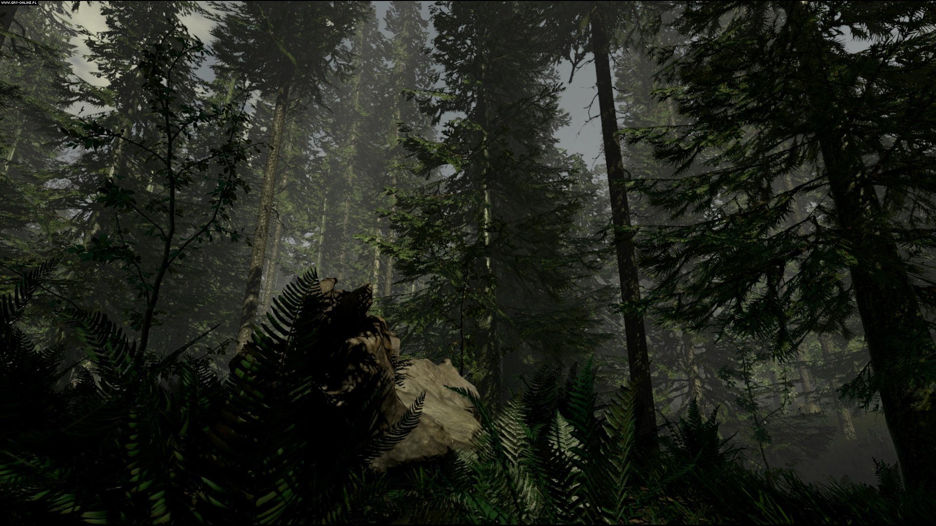 The Forest Galeria Screenshot w Screenshot 5 36 GRYOnline pl