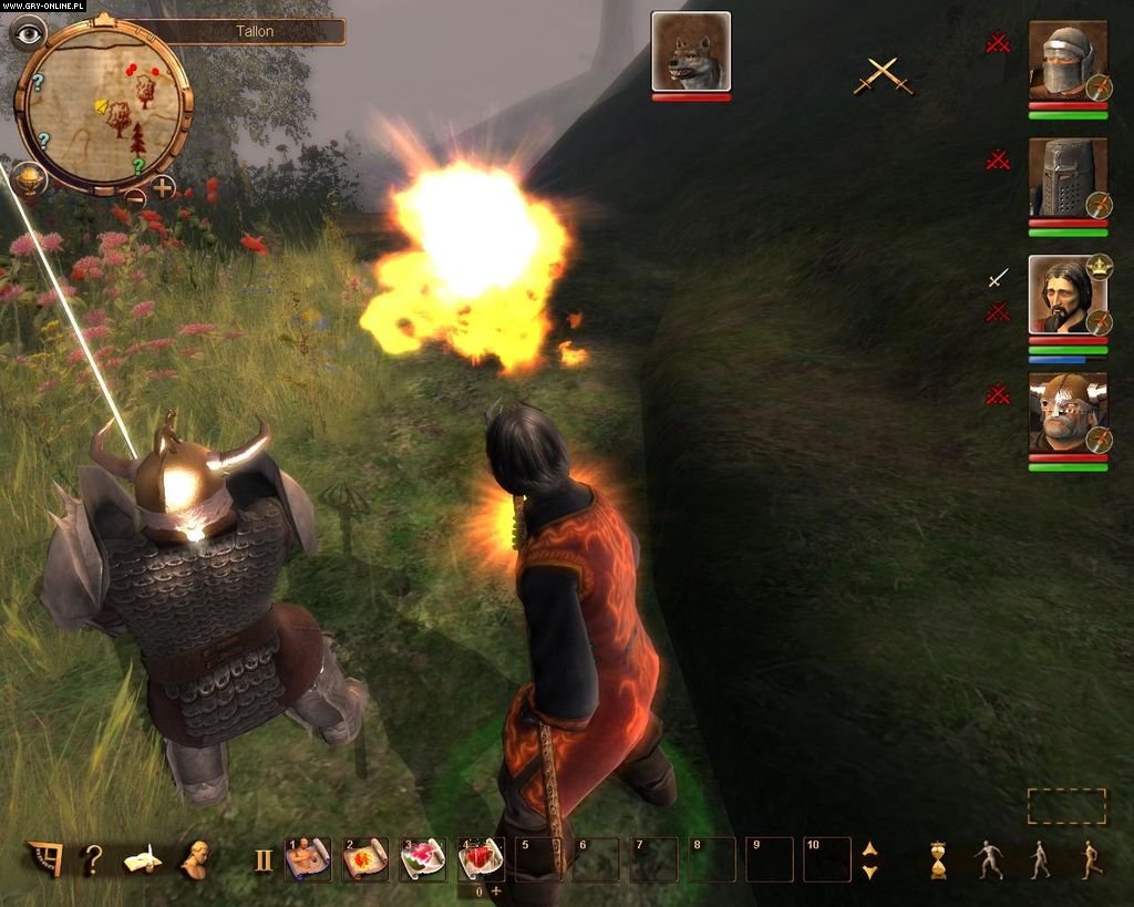 drakensang the dark eye cheats gallo frantic