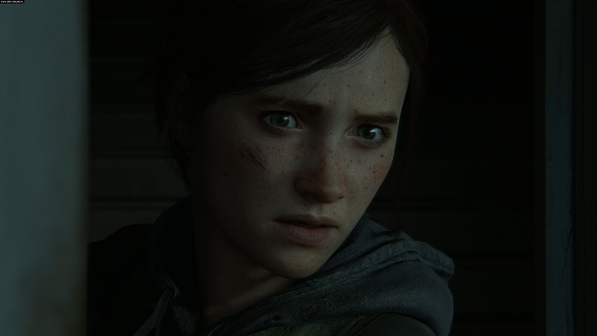 the last of us 2 pc version