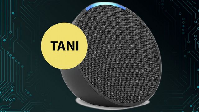 Prekursorka walki o klimat uhonorowana przez Google