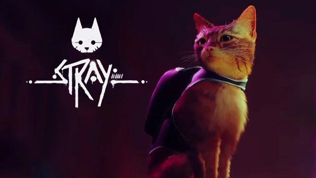 Stray trainer v1.3 +8 Trainer - Darmowe Pobieranie | GRYOnline.pl