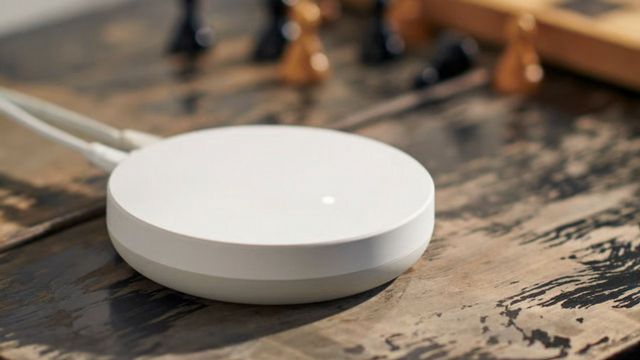 Prekursorka walki o klimat uhonorowana przez Google
